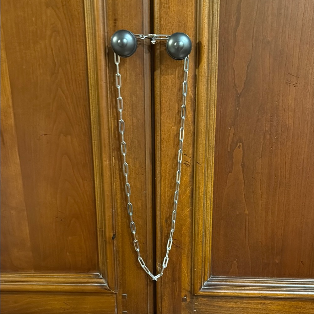 Silver Door Chain Lock